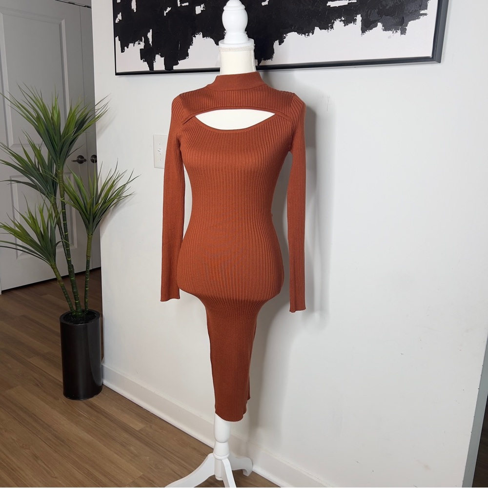 Fitted Long Sleeve Sweater Dress
